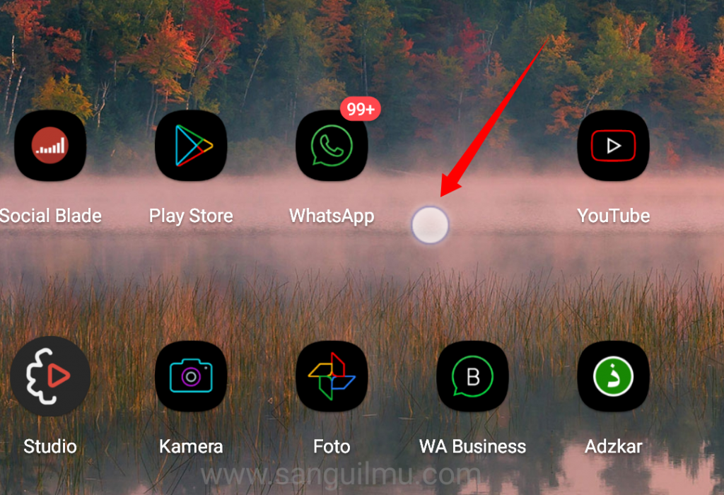 Cara Menampilkan Visual Ketukan di Asus Zenfone Max Pro M1